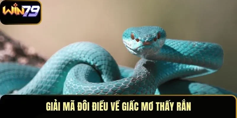 Giải mã đôi điều về giấc mơ thấy rắn