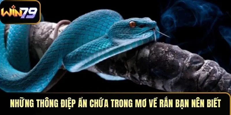 Những thông điệp ẩn chứa trong mơ về rắn bạn nên biết